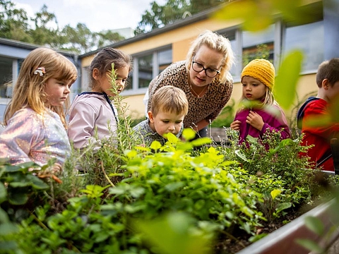 Mit allen Sinnen die Natur entdecken – das gehört im Fröbel-Kindergarten und Hort Sternchen in Potsdam zum Alltag. Jetzt Kitaplatz sichern!